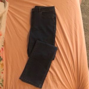 Charter Club Lexington Straight jeans